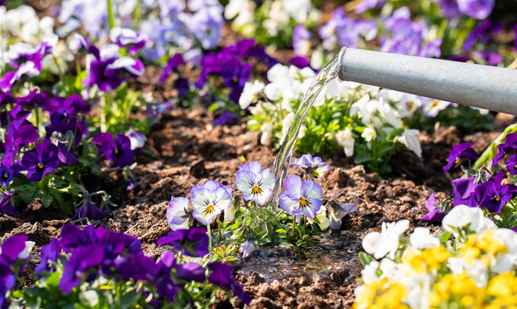 Gartenspritzen und Gartenbrausen kaufen und den Garten optimal bewässern