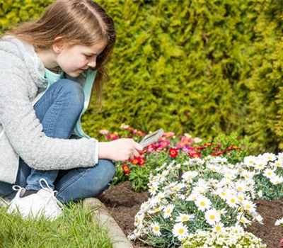 Vorsicht Garten – sichere Pflanzen für Kinder und Tiere