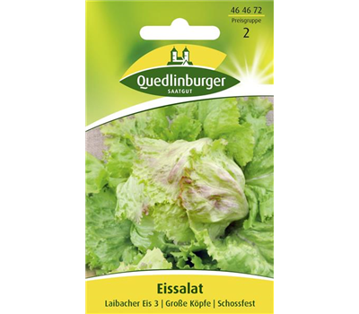 Batavia-Salat-Samen 'Laibacher Eis'