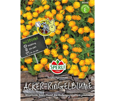 Acker-Ringelblume 'Frühlingssonne'