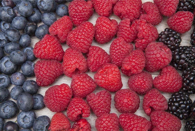 Rubus idaeus Rubus idaeus