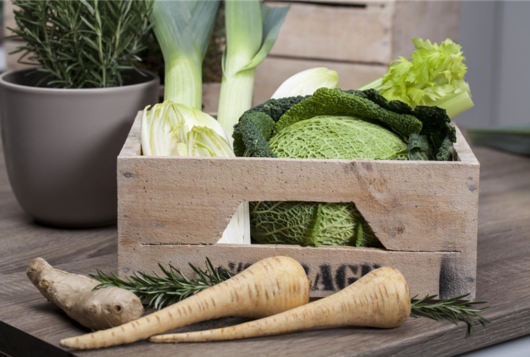 Brassica oleracea var. capitata var. sabauda Brassica oleracea var. capitata var. sabauda