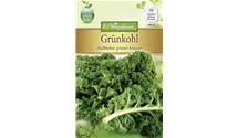 Brassica oleracea var. sabellica 'Halbhoher Grüner Krauser'