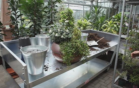 Blumenkübel - Dauerhafte Bepflanzung