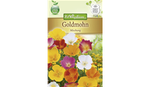Eschscholzia californica, bunt