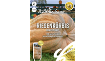 Cucurbita maxima 'Atlantic Giant'
