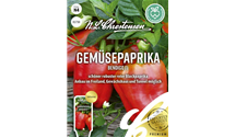 Capsicum annuum 'Bendigo F1'