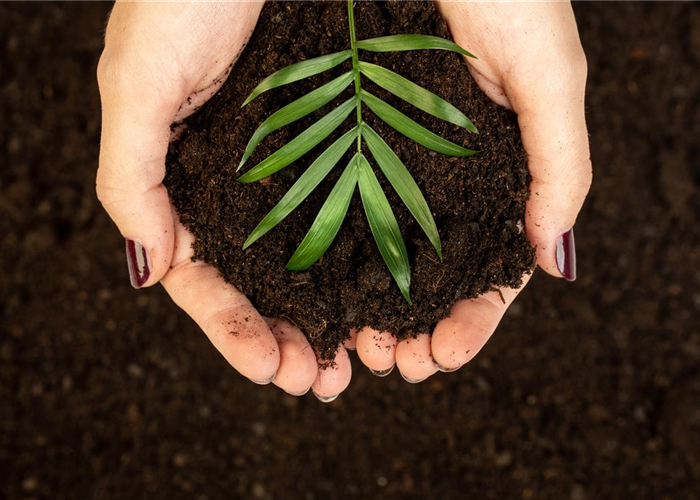 Erden und Dünger Erden und Dünger