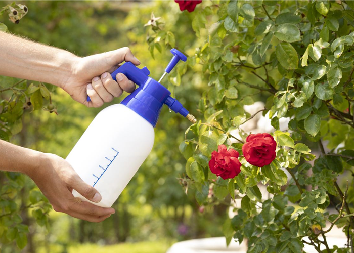 Pflanzenschutz Pflanzenschutz