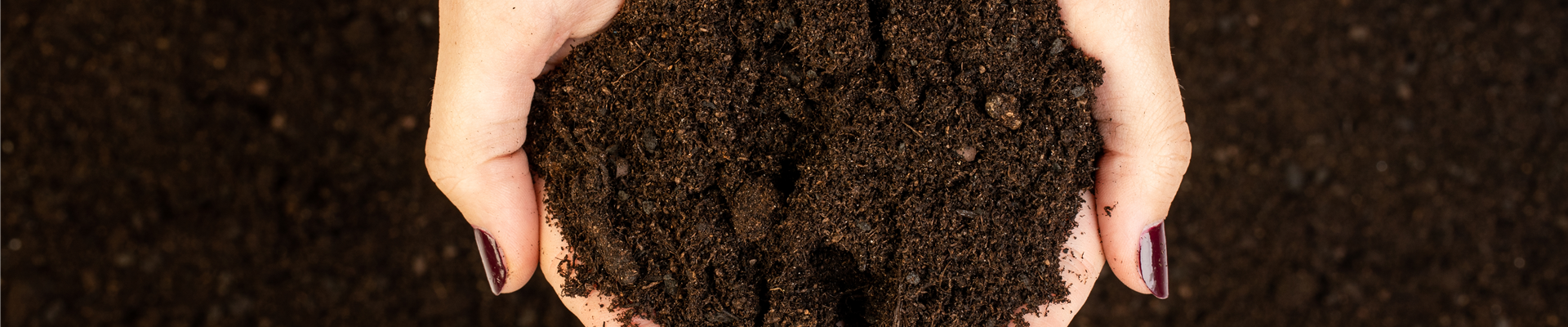 Zitruserde Zitruserde