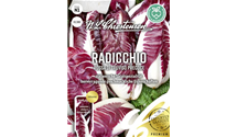 Cichorium intybus var. foliosum 'Rosso di Treviso Precoce'