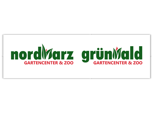 Lathyrus odoratus Lathyrus odoratus