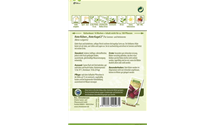 Beta vulgaris ssp. vulgaris 'Rote Kugel 2'