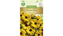 Rudbeckia hirta 'Marmalade'