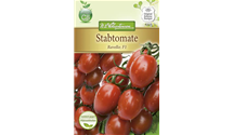 Solanum lycopersicum 'Ravello F1'