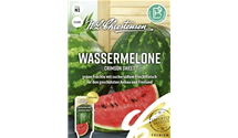 Citrullus lanatus var. lanatus 'Crimson Sweet'