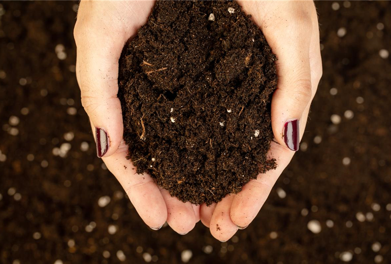 GS639633.jpg GS639633.jpg