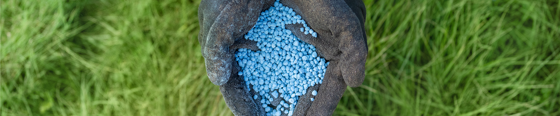 Dünger - Blaukorn Dünger - Blaukorn