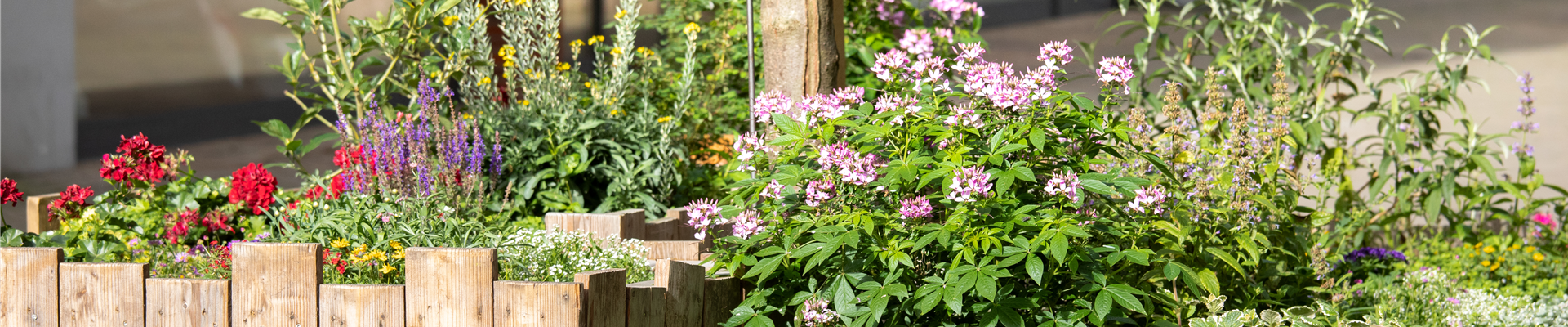 Stadtgarten Stadtgarten