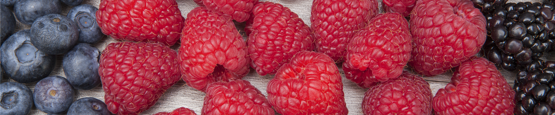 Rubus idaeus Rubus idaeus