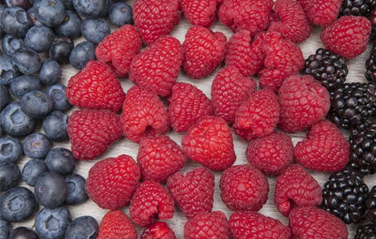 Tipps zum Beerenobst im Garten pflanzen Tipps zum Beerenobst im Garten pflanzen