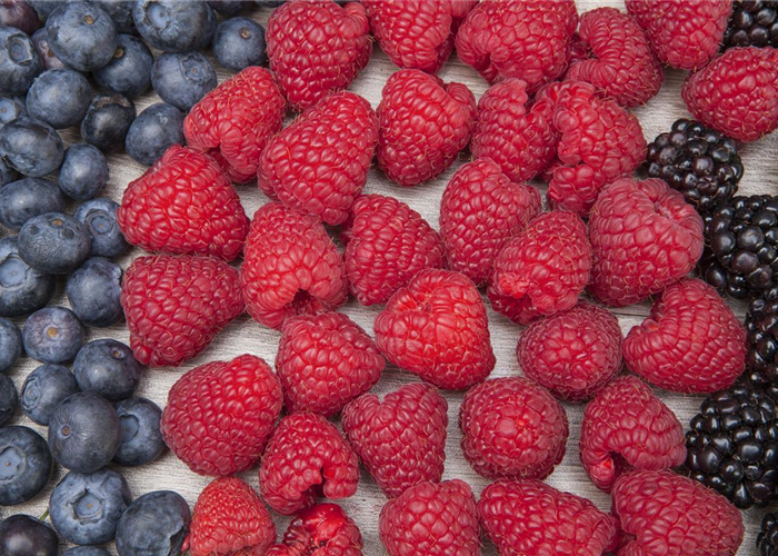 Beerenobst Beerenobst