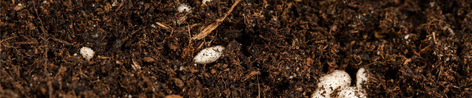 Anzucht- und Kräutererde Anzucht- und Kräutererde