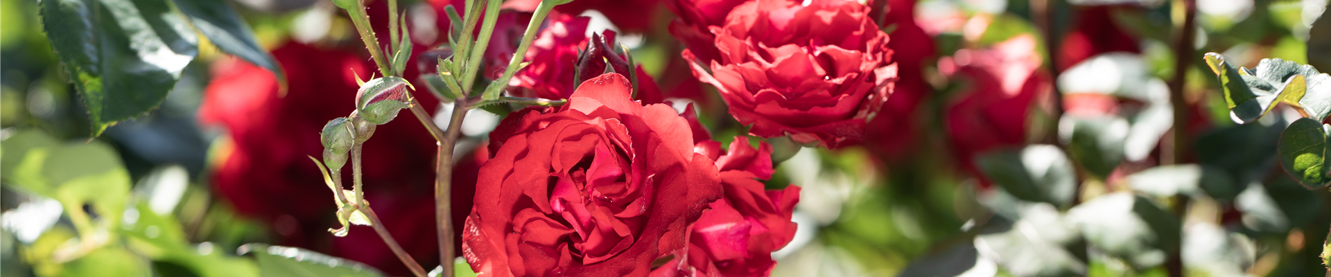 2020-5-26.8-52.GS621227 2020-5-26.8-52.GS621227