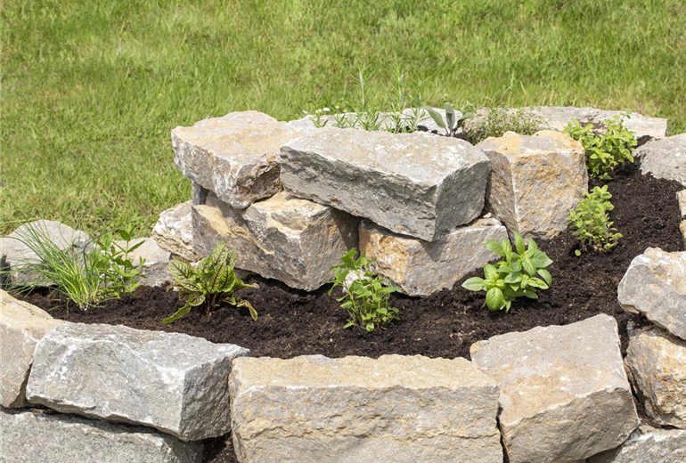 GS620286.jpg GS620286.jpg