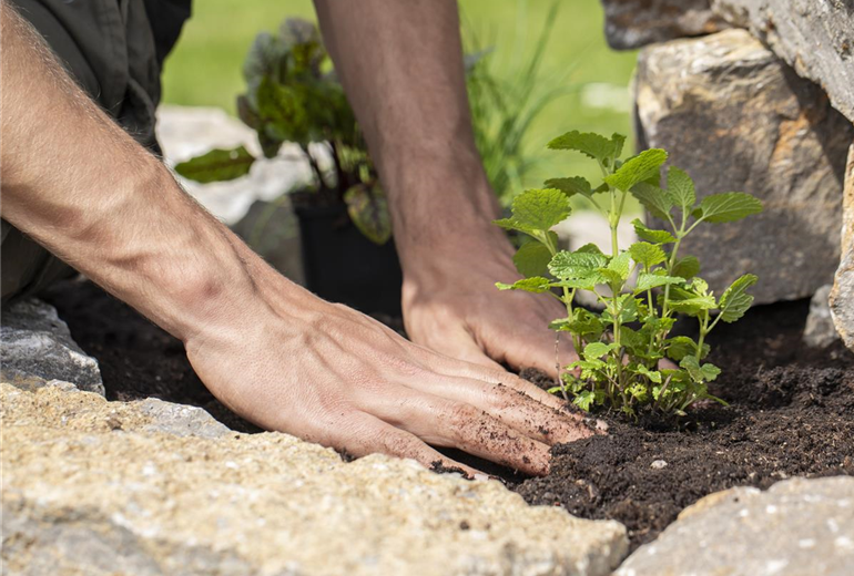 GS620279.jpg GS620279.jpg