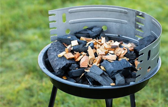 Wie trifft man beim Kauf eines neuen Grills die richtige Wahl? Wie trifft man beim Kauf eines neuen Grills die richtige Wahl?