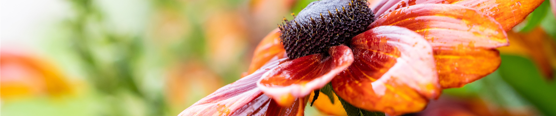 2020-7-8.11-0.GS655978_ 2020-7-8.11-0.GS655978_