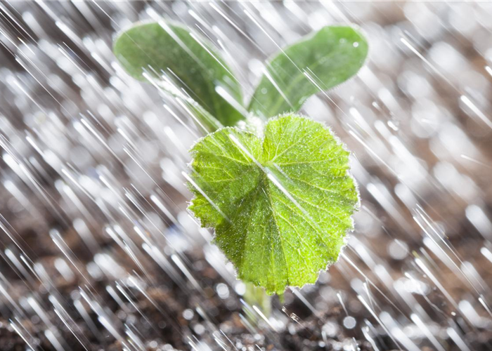 Gartenbewässerung Gartenbewässerung