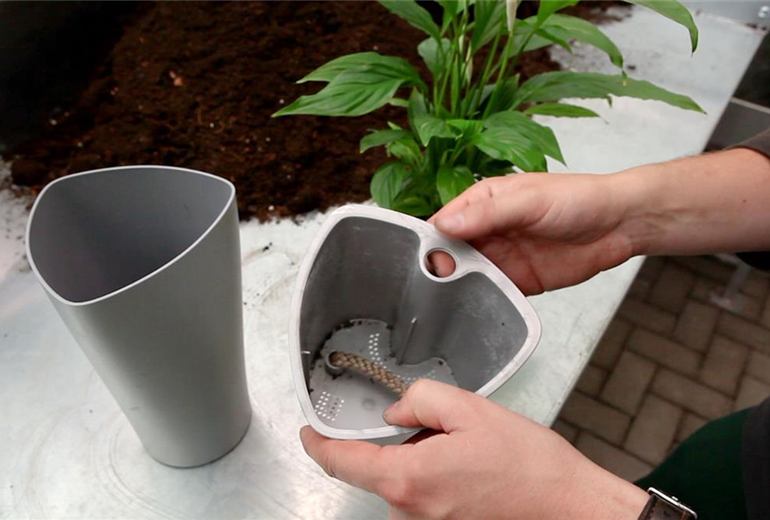 Einblatt - Einpflanzen in ein Gefäß (2) Einblatt - Einpflanzen in ein Gefäß (2)