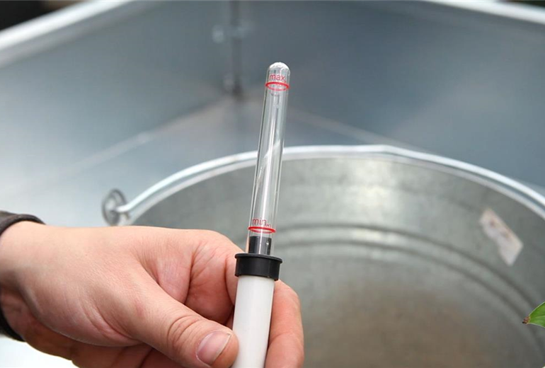 Einblatt - Einpflanzen in ein Gefäß (5) Einblatt - Einpflanzen in ein Gefäß (5)