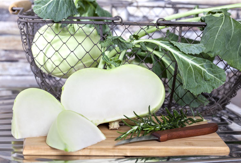 Brassica oleracea var. gongylodes Brassica oleracea var. gongylodes