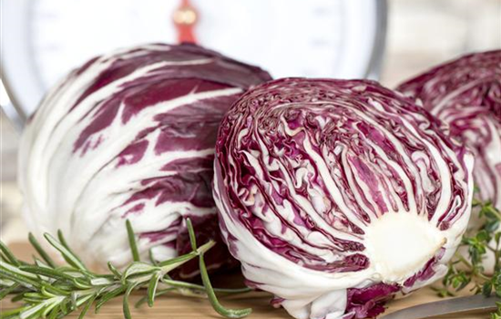 Herbstsalate: Frische aus dem eigenen Garten Herbstsalate: Frische aus dem eigenen Garten