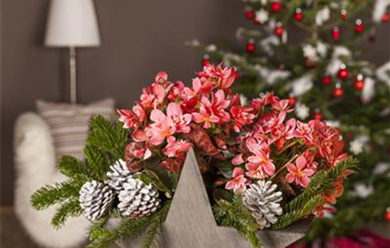 Advent - mit schönen Ideen durch die Vorweihnachtszeit 