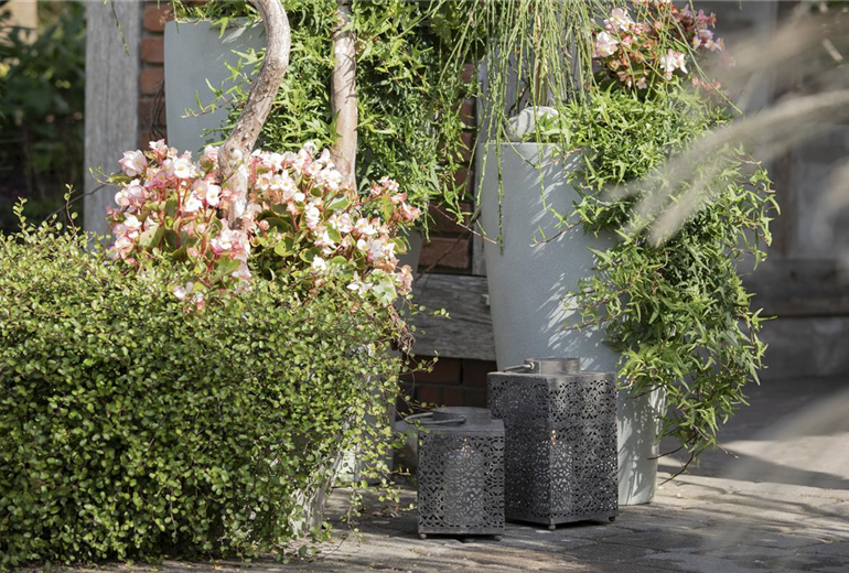 Laternen im Garten