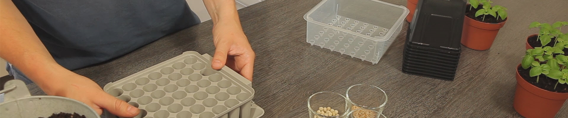 Tomaten - Aussäen von Samen (thumbnail) Tomaten - Aussäen von Samen (thumbnail)