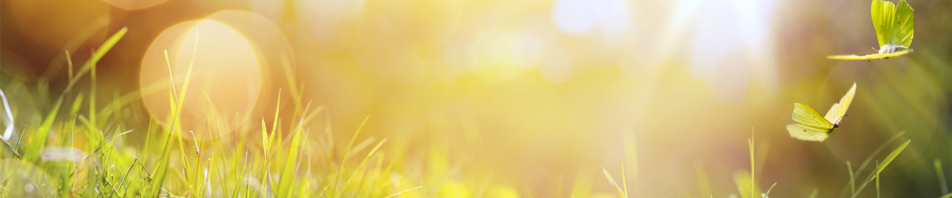 bigstock--166842776 (Groß) bigstock--166842776 (Groß)