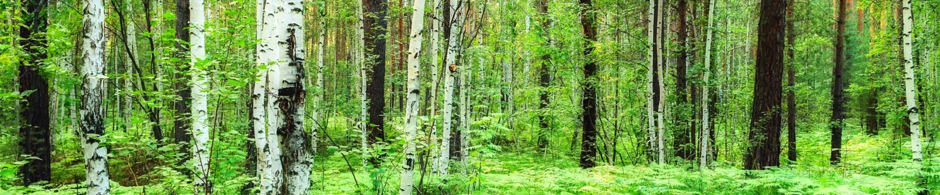 bigstock--184273813 (Groß) bigstock--184273813 (Groß)