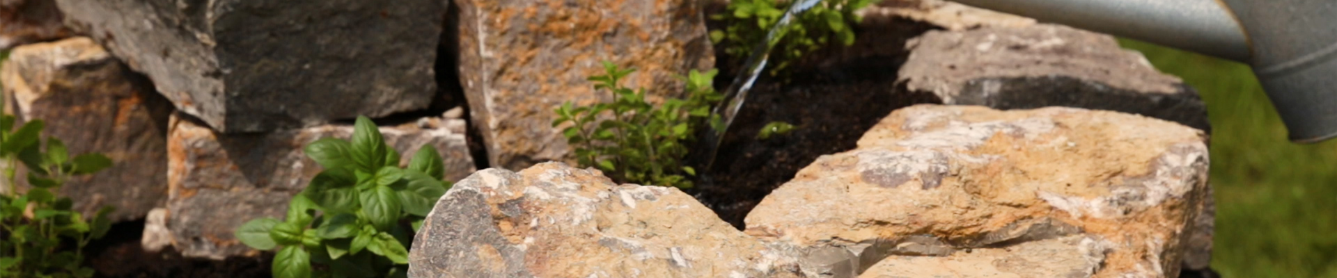 Kräuterspirale selbst bauen und bepflanzen - Pflanzen gießen Kräuterspirale selbst bauen und bepflanzen - Pflanzen gießen