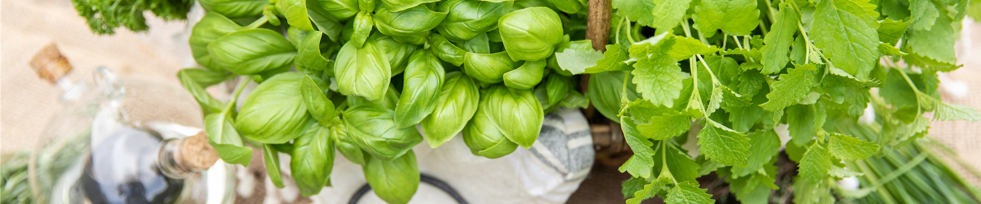 Korb mit diversen Kräutern Korb mit diversen Kräutern