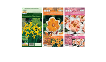 Blumenzwiebel Set 'Diversity'
