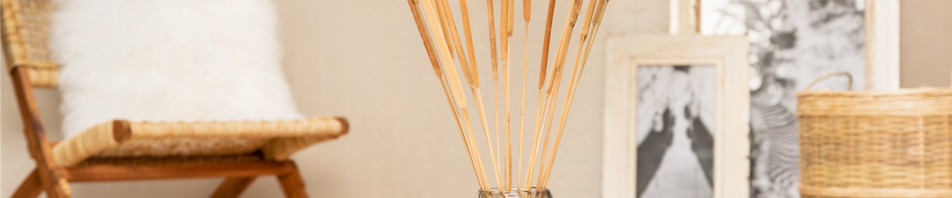 Zimmerambiente Zimmerambiente