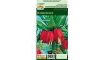 Blumenzwiebel Set 'Red Romance'
