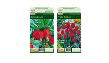 Blumenzwiebel Set 'Red Romance'