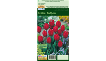 Blumenzwiebel Set 'Red Romance'
