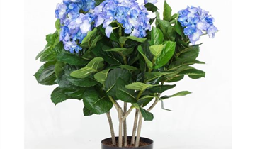 fleur ami HORTENSIE Kunstpflanze
